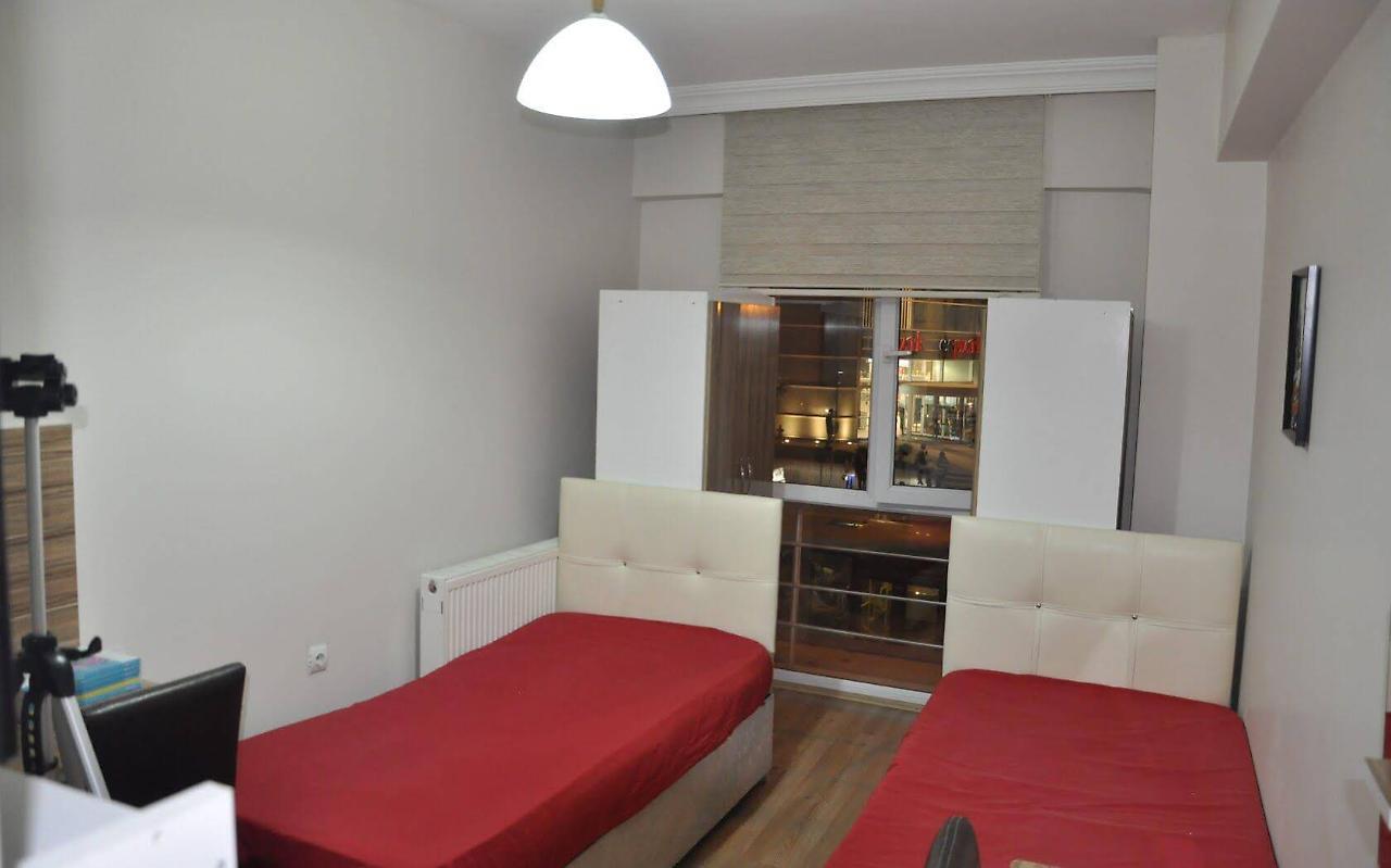إسكيشير Dorlion Suit المظهر الخارجي الصورة